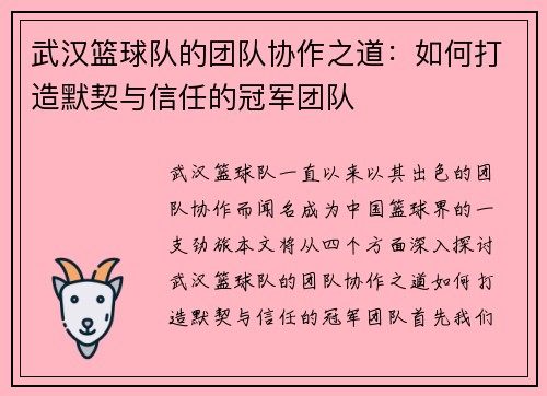 武汉篮球队的团队协作之道：如何打造默契与信任的冠军团队